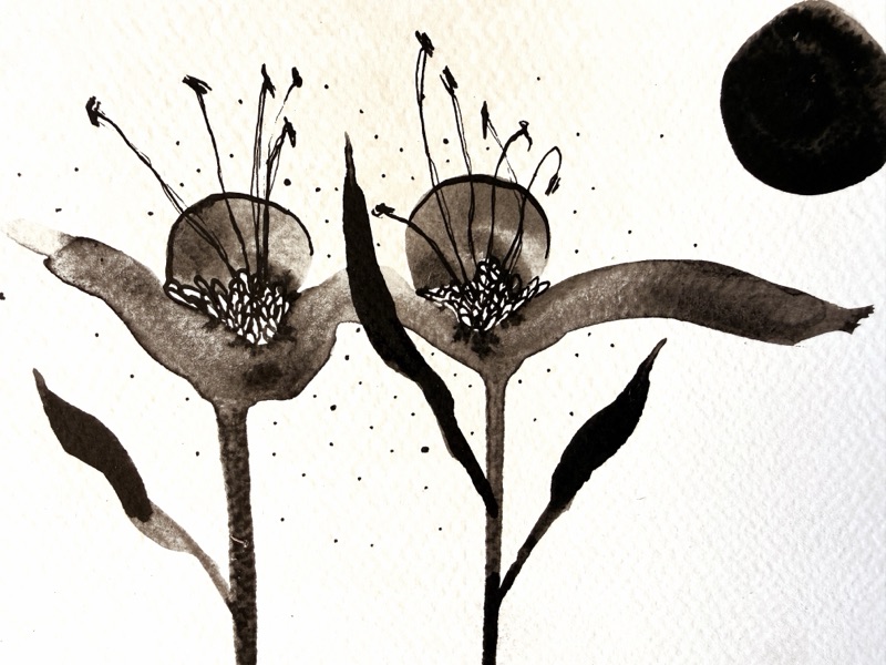 Fluir entre flors 7